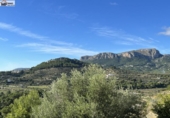 Detached villa with land for sale on España, Calpe, ref: TR261028 photo