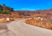 Land suitable for development for sale on España, Torrox Park, ref: TR128571 photo
