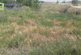 Burgos 14509&nbsp;m² 