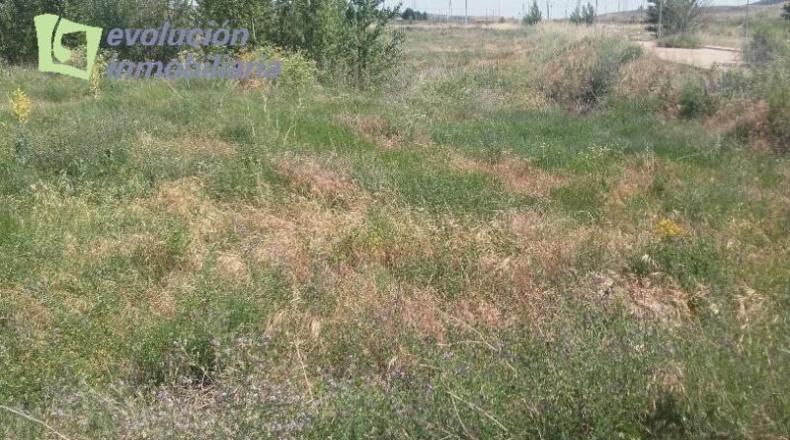 Burgos - Burgos - 14509m2