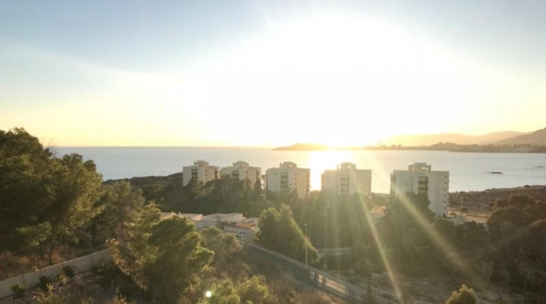 Murcia - Cartagena - 1550m2