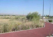 Land suitable for development for sale on España, Chiloeches, ref: TR236262 photo
