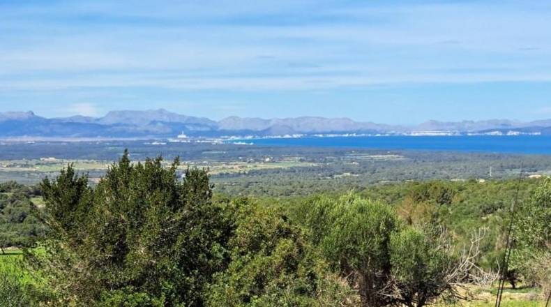 Balearic Islands - Sant Llorenç des Cardassar - 132000m2