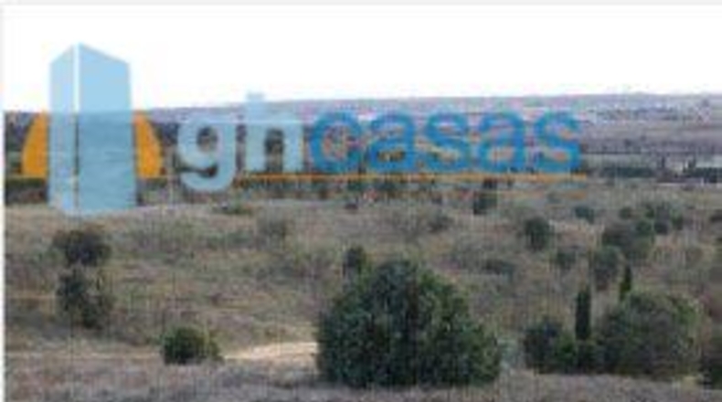 Comunidad de Madrid - Colmenar Viejo - 60844m2
