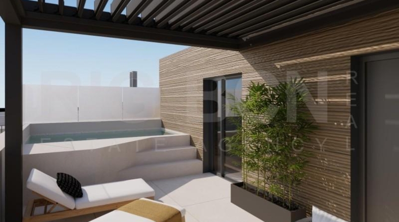 Barcelona - Esplugues de Llobregat - 243m2