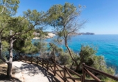 Detached villa with land for sale on España, Benissa, ref: TR323418 photo
