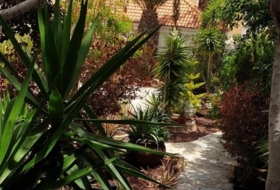 Foto 14