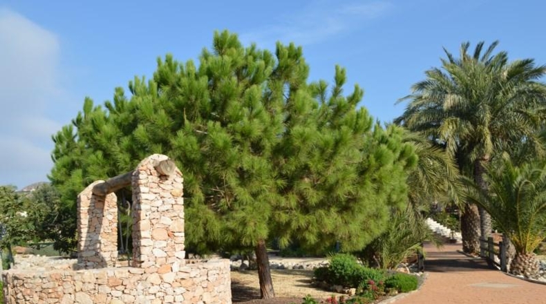 Murcia - Cartagena - 14000m2
