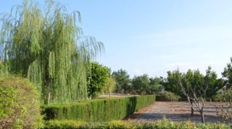 Murcia - Cartagena - 14000m2