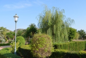 Foto 12