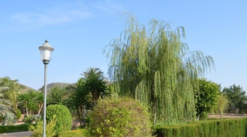 Murcia - Cartagena - 14000m2