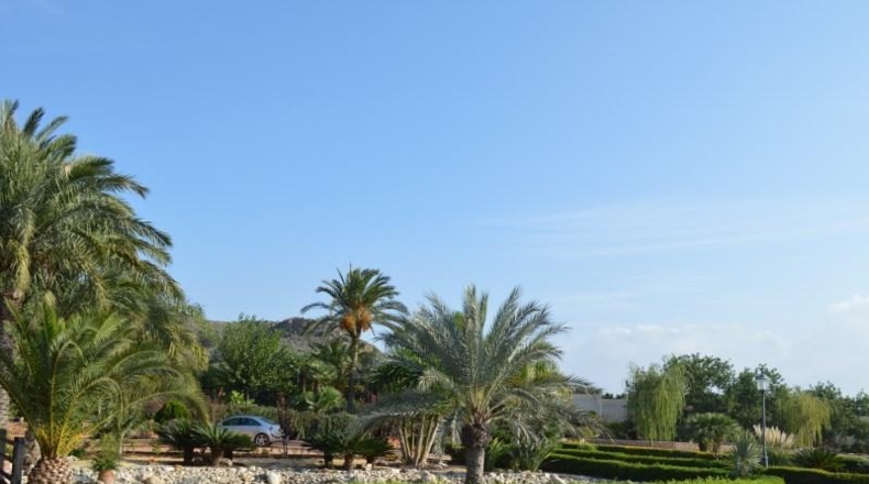 Murcia - Cartagena - 14000m2