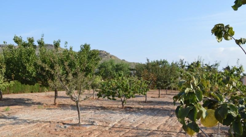 Murcia - Cartagena - 14000m2