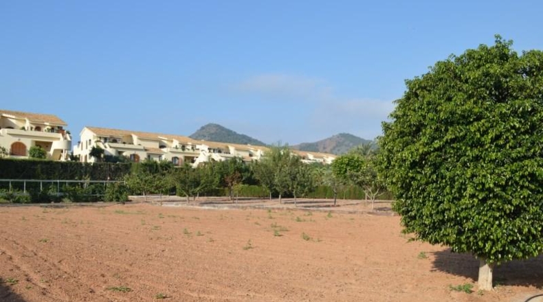 Murcia - Cartagena - 14000m2