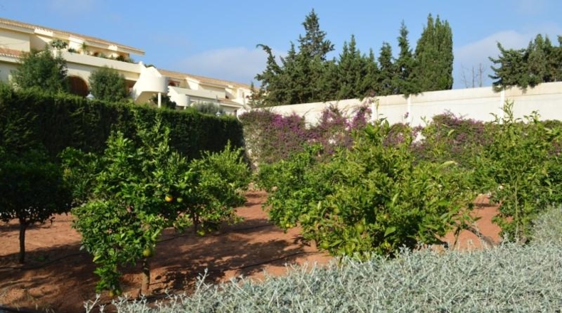 Murcia - Cartagena - 14000m2