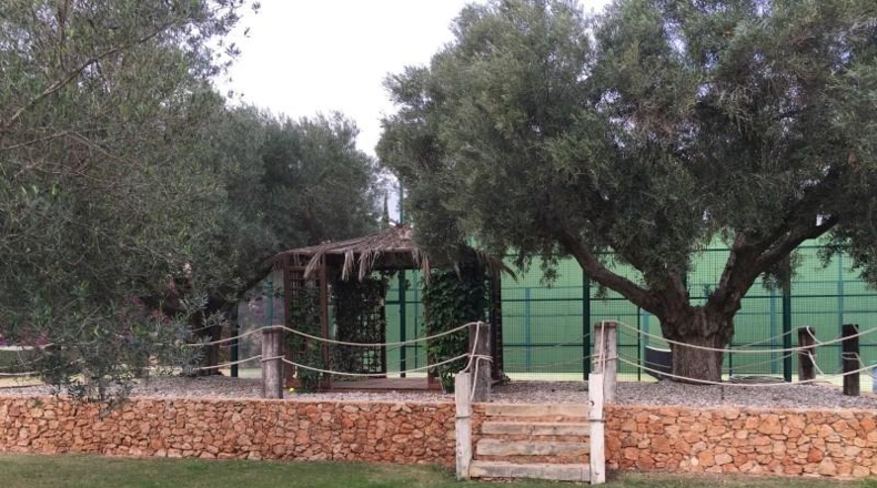 Murcia - Cartagena - 14000m2