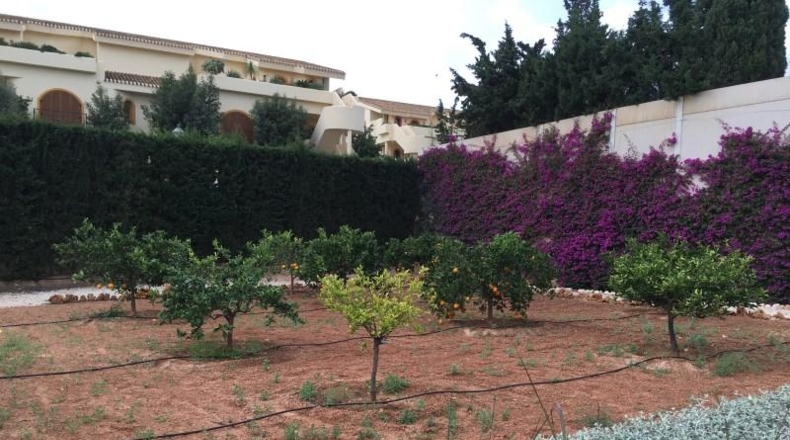 Murcia - Cartagena - 14000m2