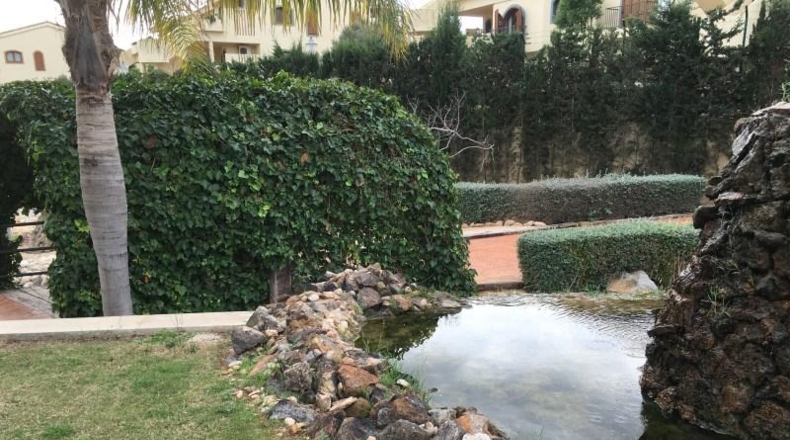 Murcia - Cartagena - 14000m2