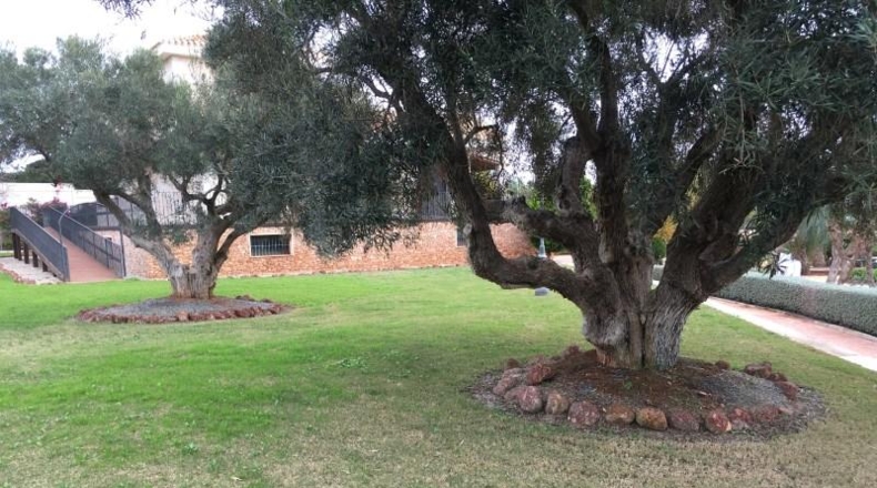 Murcia - Cartagena - 14000m2