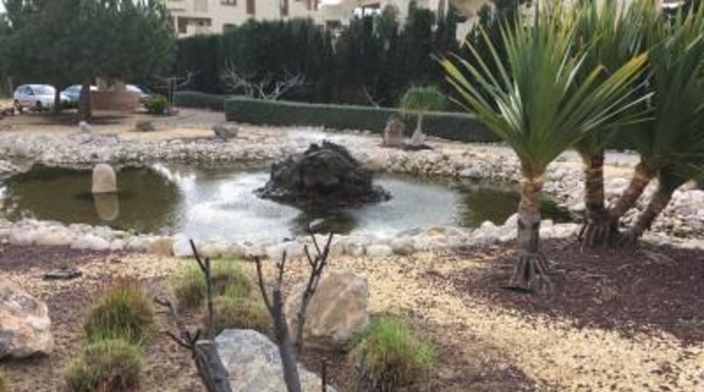 Murcia - Cartagena - 14000m2