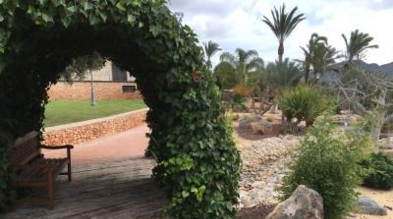 Murcia - Cartagena - 14000m2