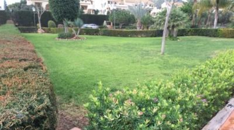 Murcia - Cartagena - 14000m2