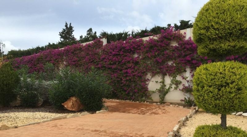 Murcia - Cartagena - 14000m2