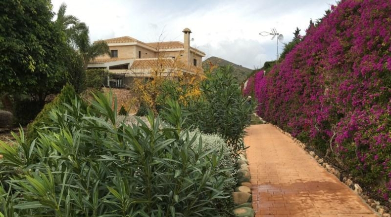 Murcia - Cartagena - 14000m2
