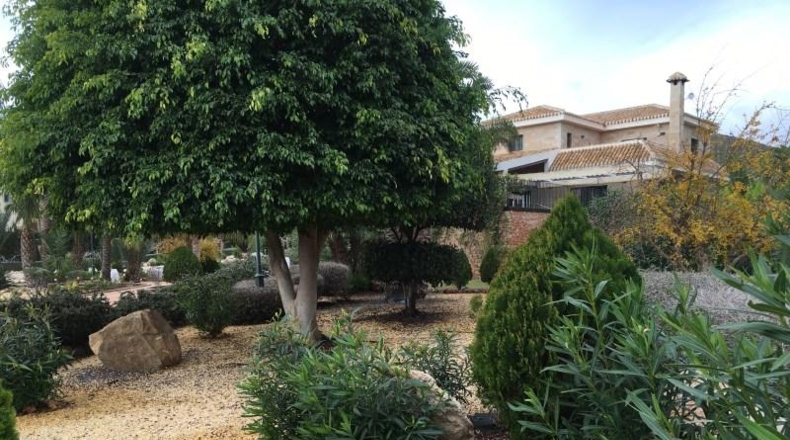 Murcia - Cartagena - 14000m2