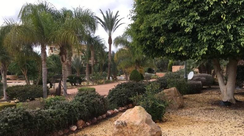 Murcia - Cartagena - 14000m2