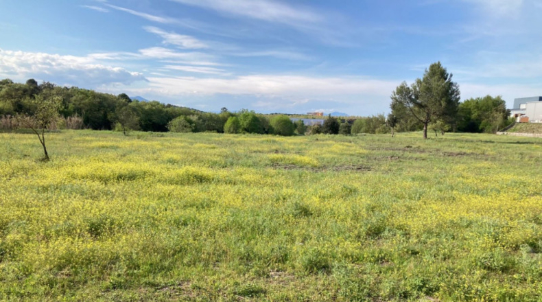 Gerona - Maçanet de la Selva - 11700m2