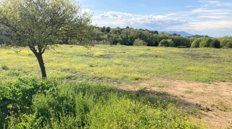 Gerona - Maçanet de la Selva - 11700m2