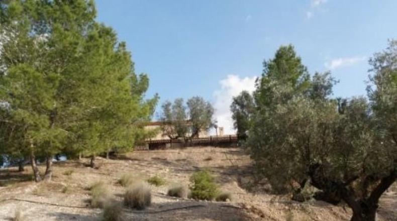 Murcia - Molina de Segura - 95490m2