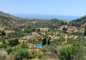 Xalet independent amb terreny en venda a la España, Campo-Mijas, ref.: TR239960 foto
