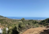 Xalet independent amb terreny en venda a la España, Campo-Mijas, ref.: TR239960 foto