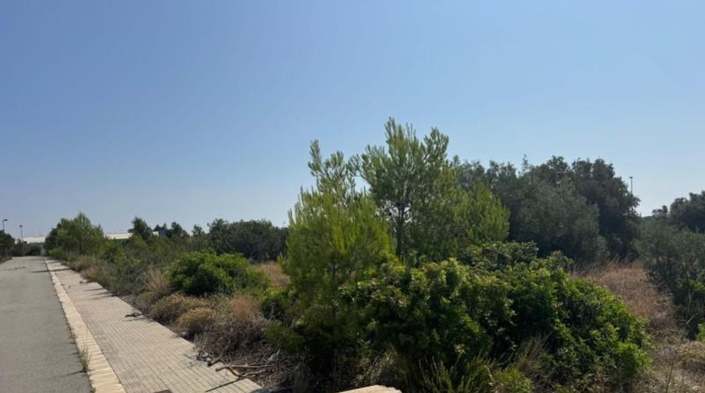 Tarragona - Vandellòs - 1000m2