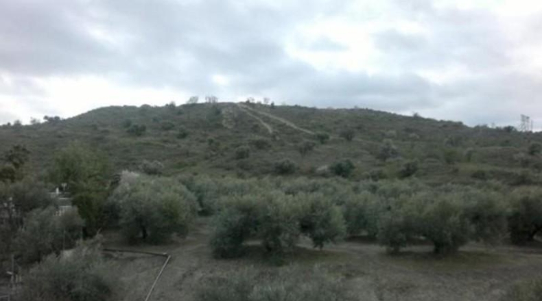 Jaén - Jaén - 876552m2