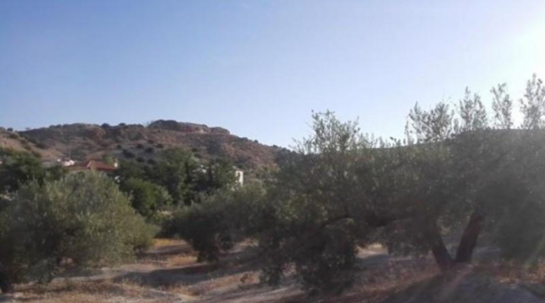 Jaén - Jaén - 876552m2