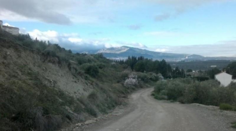 Jaén - Jaén - 876552m2