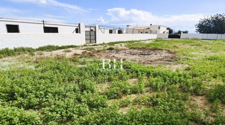 Alicante - Altea - 50870m2