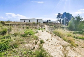 Foto 15