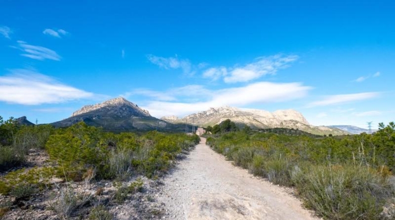 Alicante - La Nucía - 784m2