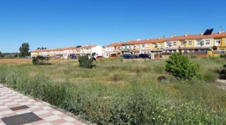 Jaén - La Carolina - 19628m2