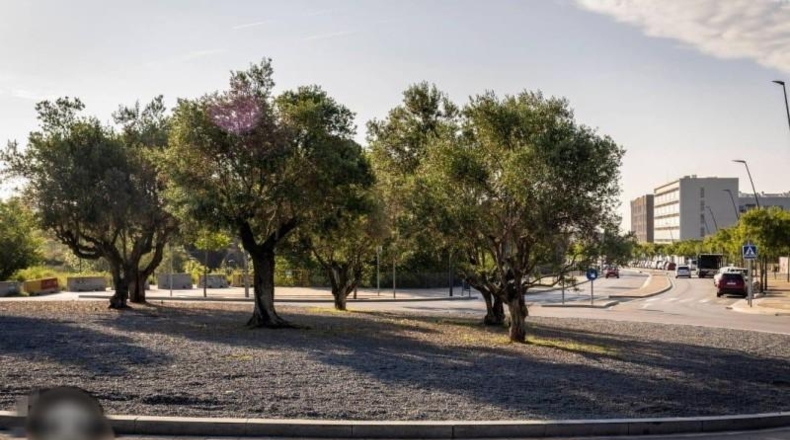 Barcelona - Tarrasa - 8000m2