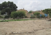 Terreny no urbanitzable en venda a la España, Novelda, ref.: TR336139 foto