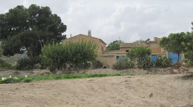 Alicante - Novelda - 103000m2