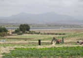 Terreny no urbanitzable en venda a la España, Novelda, ref.: TR336139 foto