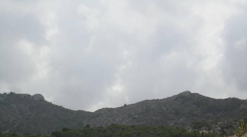 Alicante - Novelda - 103000m2