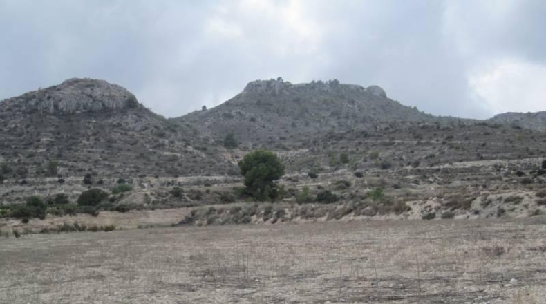 Alicante - Novelda - 103000m2