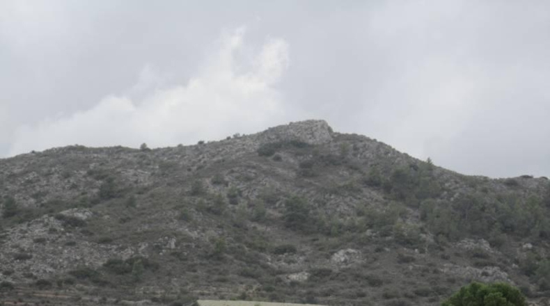 Alicante - Novelda - 103000m2
